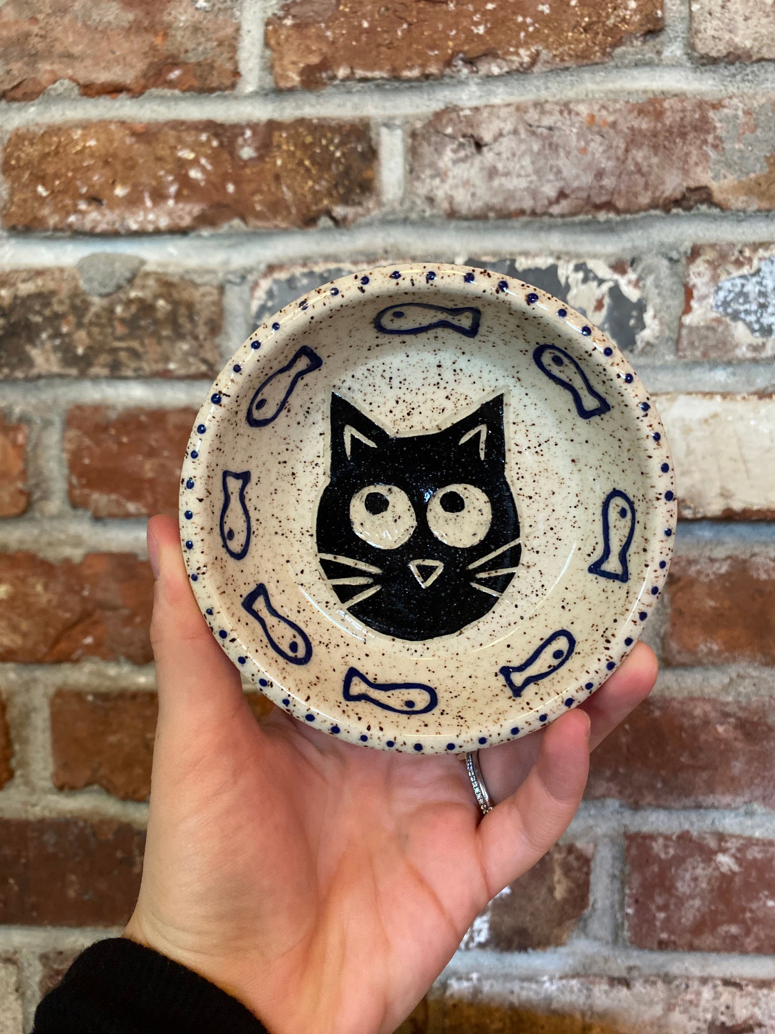 Cat Food Bowl 1